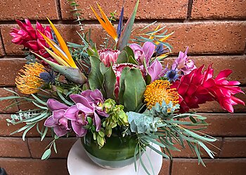 San Diego Florists House of Stemms