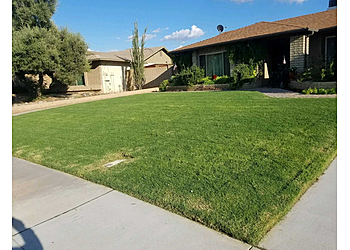 Chandler Lawn Care Services House of Yards