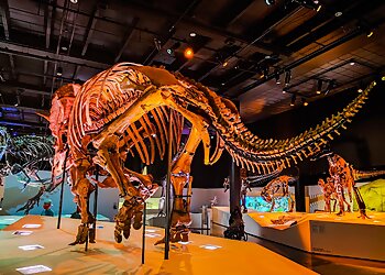 Houston Places To See Houston Museum of Natural Science