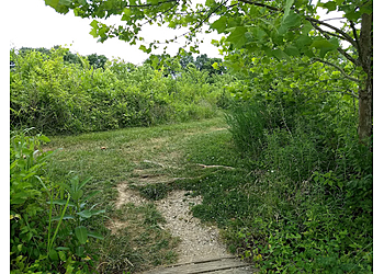 Evansville Hiking Trails Howell Wetlands