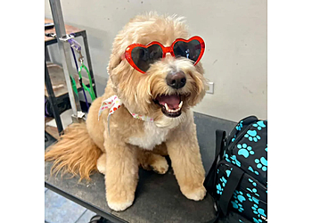 Chicago Pet Grooming Howlistic Grooming