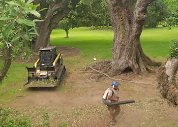 Lafayette Tree Services Hub City Tree & Preservation
