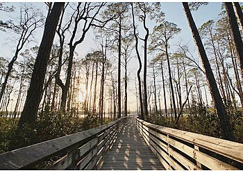 Fort Lauderdale Hiking Trails Hugh Taylor Birch State Park