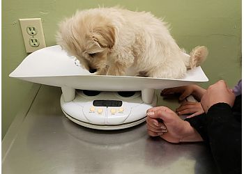 Fontana Veterinary Clinics Humane Animal Hospital