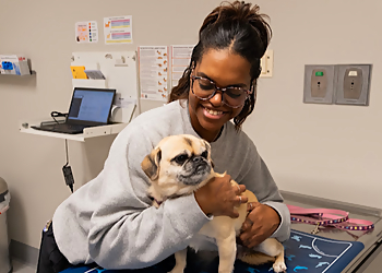 Humane Fort Wayne - Fort Wayne, IN Veterinary Clinics - Medical Procedure Image