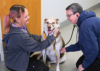 Humane Fort Wayne - Fort Wayne, IN Veterinary Clinics - Doctor With Patient Image