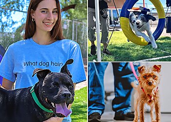 Tucson Dog Training Humane Society of Southern Arizona