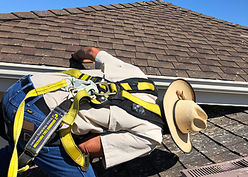 San Francisco Animal Removal Humane Wildlife Control Inc