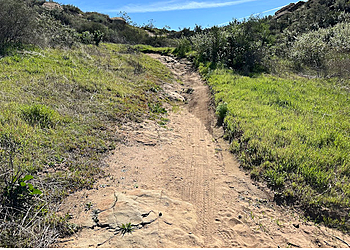 Simi Valley Hiking Trails Hummingbird Trail