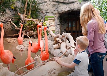 Corpus Christi Videographers HunerdPercent Productions