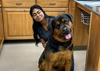 West Valley City Veterinary Clinics Hunter Animal Hospital