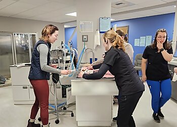 Spokane Veterinary Clinics Hunter Veterinary Clinic