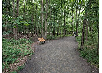 Alexandria Hiking Trails Huntley Meadows Park
