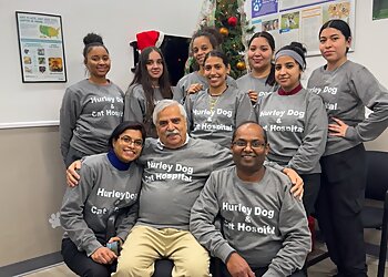 Detroit Veterinary Clinics Hurley Dog and Cat Hospital