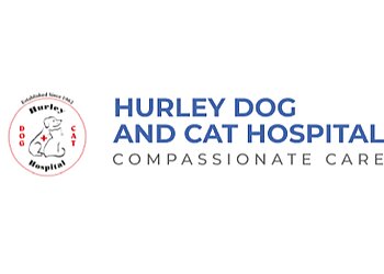 Detroit Veterinary Clinics Hurley Dog and Cat Hospital