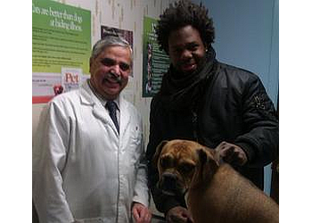 3 Best Veterinary Clinics in Detroit, MI - Expert Recommendations