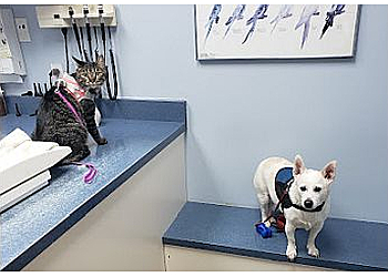 Thornton Veterinary Clinics Huron Animal Hospital