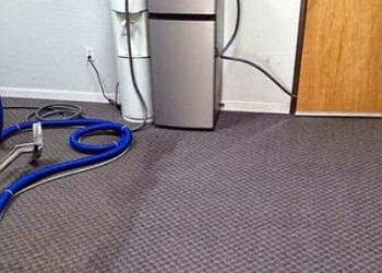 3 Best Carpet Cleaners in Phoenix, AZ - Expert Recommendations