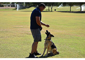 I.B. K9 Mesa Dog Training