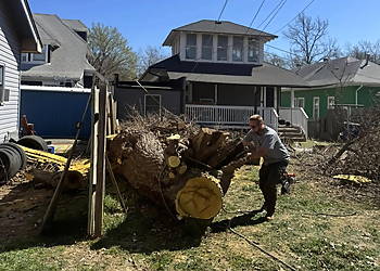 Wichita Tree Services ICT Tree & Landscape