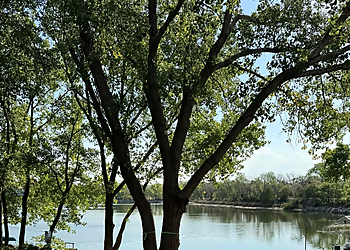 ICT Tree & Landscape  Wichita Tree Services image 1