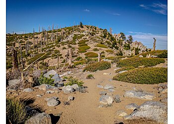 Ontario Hiking Trails Icehouse Canyon Trailhead