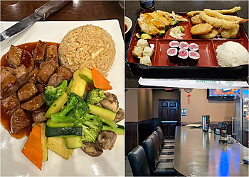 Rochester Japanese Restaurants Ichi Tokyo South