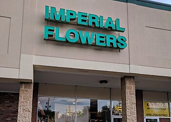 3 Best Florists in Lexington, KY - Expert Recommendations