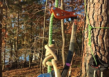 Daly City Tree Services Imperial Tree Removal Service