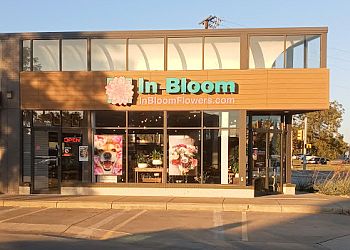 Arlington florist In Bloom Flowers