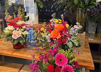 Carrollton Florists In Bloom Flowers