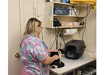 Independence Veterinary Clinics Independence Animal Hospital