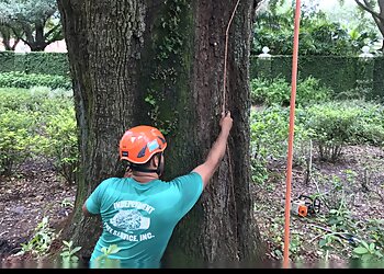 Tampa Tree Services Independent Tree Service, Inc.