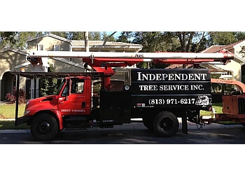 Tampa tree service Independent Tree Service, Inc.