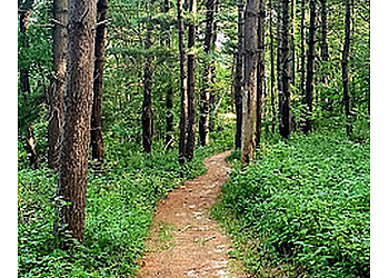 Cedar Rapids Hiking Trails Indian Creek Nature Center