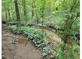 Chesapeake Hiking Trails Indian River Park