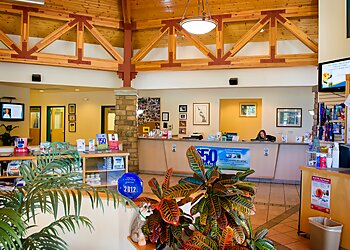 Arvada Veterinary Clinics Indian Tree Animal Hospital