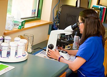 Arvada Veterinary Clinics Indian Tree Animal Hospital