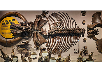 Indianapolis Museums Indiana State Museum