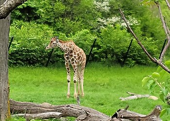 Indianapolis Places To See Indianapolis Zoo