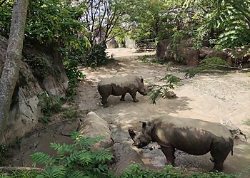 Indianapolis Places To See Indianapolis Zoo