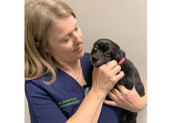 Indianapolis Veterinary Clinics IndyVet Emergency & Specialty Hospital