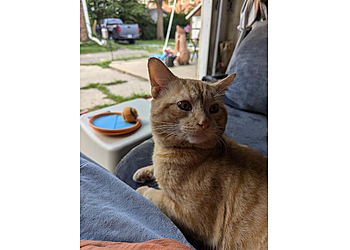 Indianapolis Veterinary Clinics IndyVet Emergency & Specialty Hospital