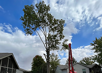 Fort Wayne Tree Services Infinity Outdoor Services