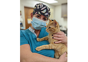 Des Moines Veterinary Clinics Ingersoll Animal Hospital