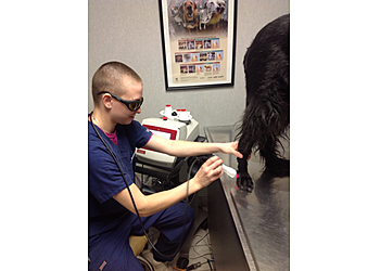 Des Moines Veterinary Clinics Ingersoll Animal Hospital