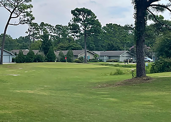 Inland Greens Park & Golf Course Wilmington Golf Courses image 1