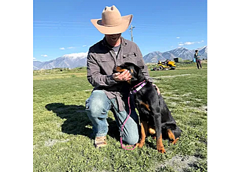 Innovative K9 - Salt Lake City, UT Dog Training