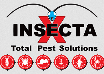 Insecta X Total Pest Solutions Stamford Pest Control Companies