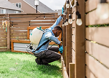 Vancouver Pest Control Companies Insight Pest Control